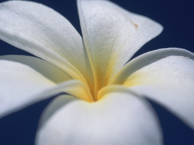 時