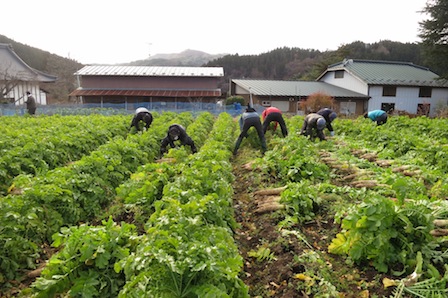 腰痛持ちには辛くも素敵な筆甫日和