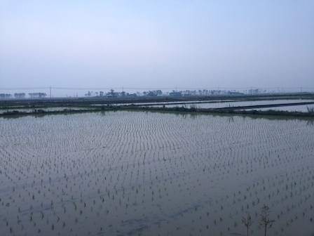 若林区内浸水区域へ