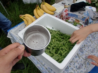 枝豆収穫祭、詳細報告（その２）