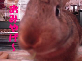 青森!?