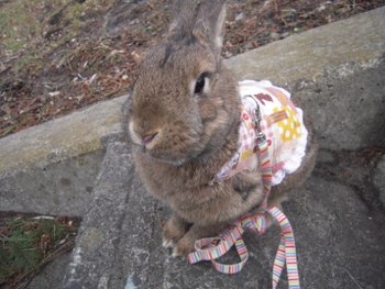 春はまだまだ!?