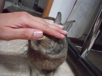 変なテンション！？