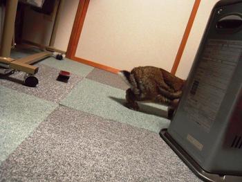 いたずら！？