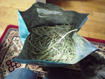 牧草の結末!?