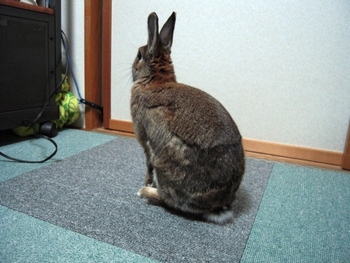 こもる！？