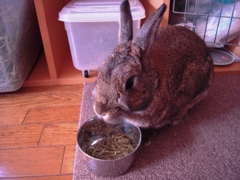 正しいおやつの食べ方！？