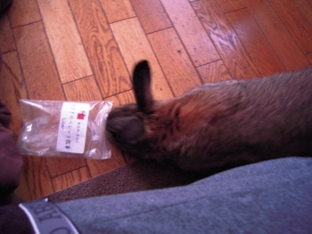 正しいおやつの食べ方！？