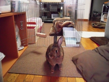 サークルはダッシュで！？