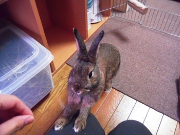サークルはダッシュで！？