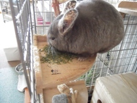 おやつ事情！？