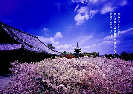 そうだ京都へ行こう