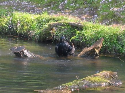 いざ、湯野浜温泉へ!