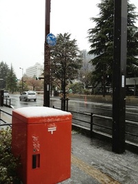 今朝の仙台は雪
