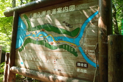 青い森への旅～奥入瀬渓流トレッキング