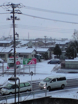 今朝は雪がつもりました