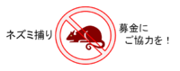 ネズミ被害から住まいを救ってください