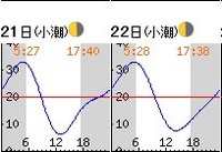 温海地区調査