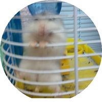 手にのってきます～♪