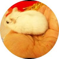 手にのってきます～♪