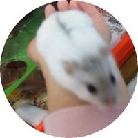 手にのってきます～♪