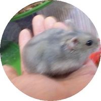 手にのってきます～♪