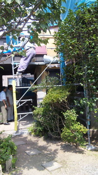 JK　6　戸建て / 青葉区　内外装リフォーム