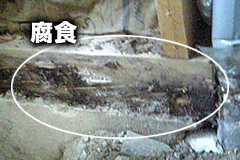 JK 1 戸建て / 泉区 水廻り・内装・外装リノベーション