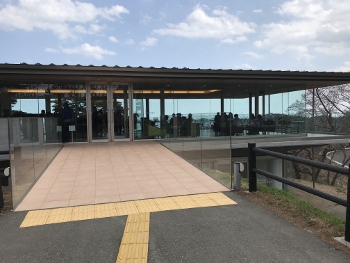 まだまだ蕾