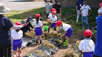 ５月３０日　畑学習(種まき苗植え)