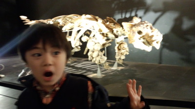 上野 恐竜展