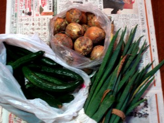 ザ、野菜!
