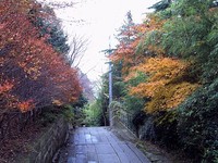 紅葉風景 ～亀井邸・東参道・勝画楼～ 12月3日(木)