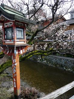 梅香る京都旅*　二日目ぶらり着物・祇園上ル