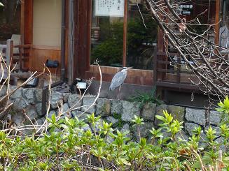 梅香る京都旅*　二日目ぶらり着物・祇園上ル