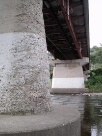 牛越橋の河原
