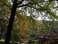 角田　旧佐藤家住宅