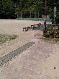 朝の散歩