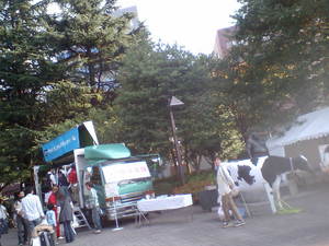 ☆牛乳・乳製品フェア2008　ミルキーマーケット☆