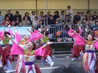 yosakoiソーラン祭り