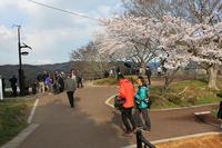 石巻の被災地と日和公園