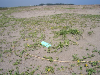 サーファーとゴミ海岸
