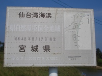 貞山運河パート⑤