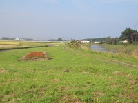 貞山運河パート⑤