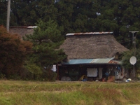 美味しい寄り道(調査中に発見)