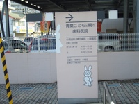 どこが温暖化？寒ーい！