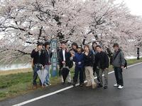 日本の桜「一目千本桜」