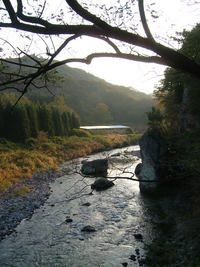羽山橋♪
