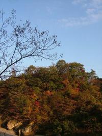 羽山橋♪