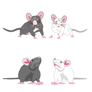 ネズミのキャラクターのイラストPNG